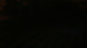 Alaïa, hija de Adamari López, cumplirá 10 años el 4 de marzo.