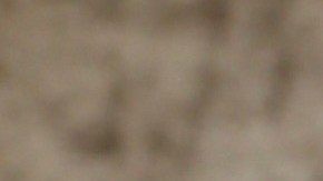Aleska Génesis.
