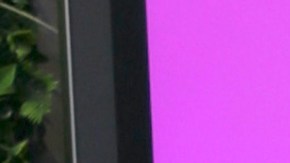 Aleska Génesis, habitante de La Casa de los Famosos All-Stars, reality show de Telemundo.