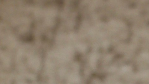 Aleska Génesis fue detenida en México.