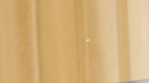 Aleska Génesis.