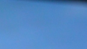 Alicia Machado dice que está amando a Niurka Marcos en La Casa de los Famosos All-Stars.