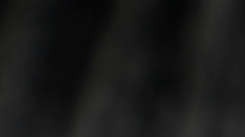 El arroz blanco aumenta los niveles de azúcar en sangre.