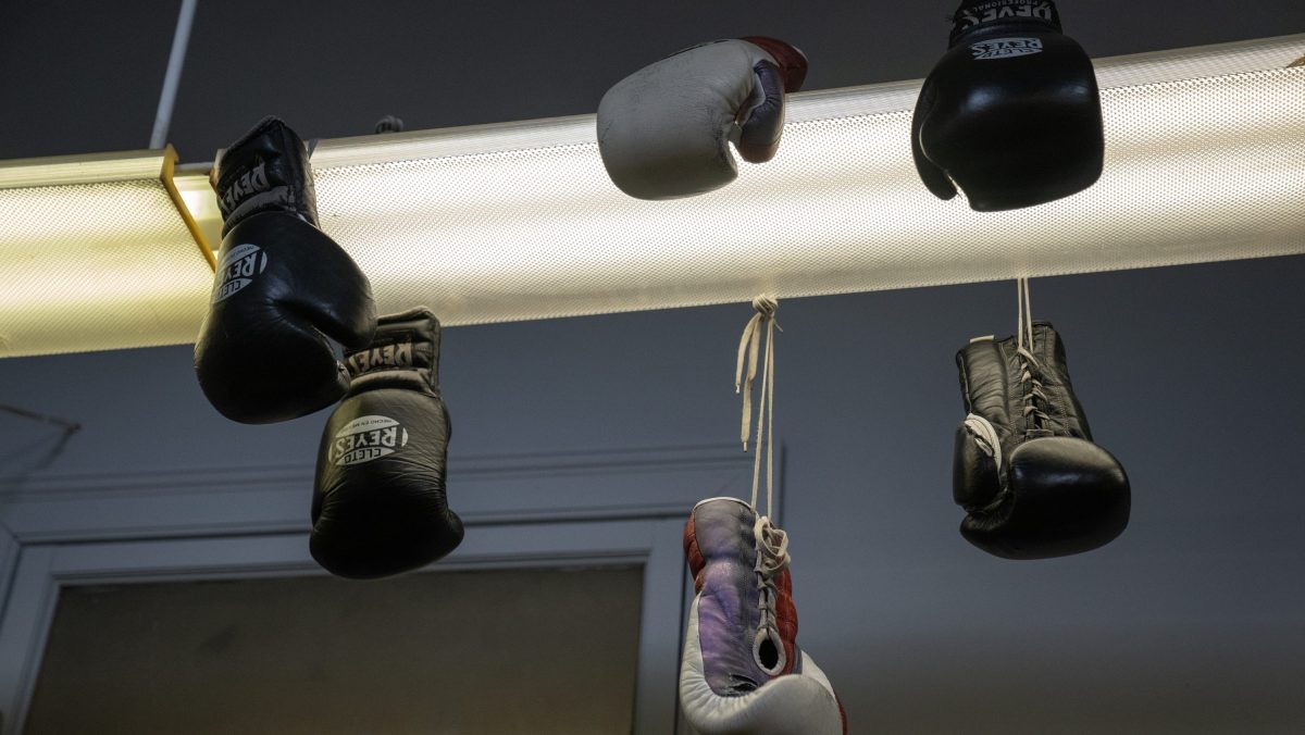 Boxeador nigeriano Gabriel Oluwasegun Olanrewaju murió tras desplomarse en medio de un combate