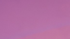 Caramelo, habitante de La Casa de los Famosos All-Stars.