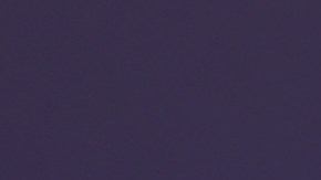 Carolina Sandoval, presentadora de televisión.