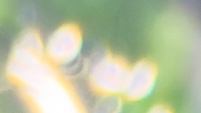 El presunto cierre de Chipotle surgió por un error en una publicación en internet.