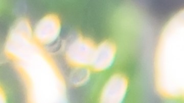 El presunto cierre de Chipotle surgió por un error en una publicación en internet.