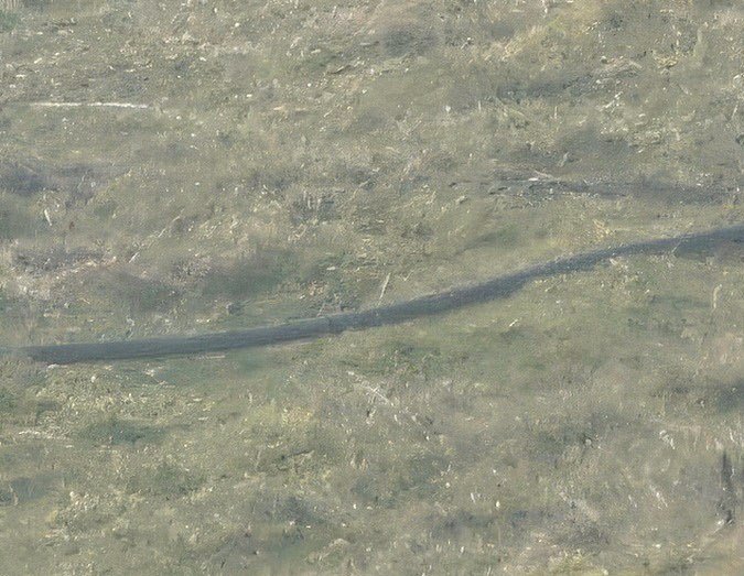 Se tiene previsto que 'Cumbres Borrascosas' estrene el 13 de febrero del 2026.