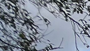 Batalla por casino en Willets Point se reaviva en el Concejo Municipal