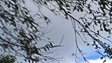 Batalla por casino en Willets Point se reaviva en el Concejo Municipal