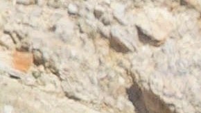 Matt Damon y Zendaya son parte de esta adaptación de 'The Odyssey'.