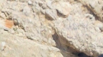 Matt Damon y Zendaya son parte de esta adaptación de 'The Odyssey'.