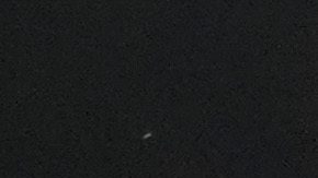 Gervonta Davis y Lamont Roach Jr.