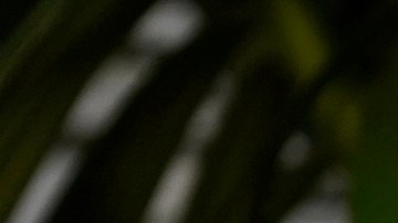 Diane Keaton terminó de reformar esta propiedad en 2017.