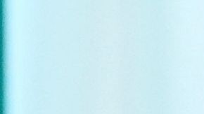 El primer ministro de Irlanda, Micheál Martin, observa al presidente Donald Trump.