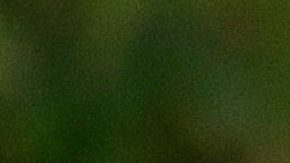 Dani Alves y Joana Sanz.