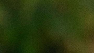 Dani Alves y Joana Sanz.