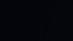 Héctor Herrera e Igor Lichnovsky.