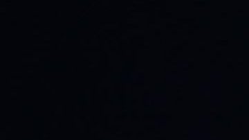 Héctor Herrera e Igor Lichnovsky.