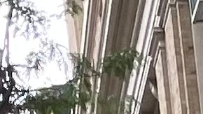 El uso de celulares en las escuelas se ha venido limitando en NY.