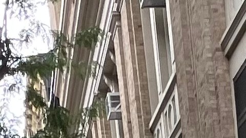 El uso de celulares en las escuelas se ha venido limitando en NY.