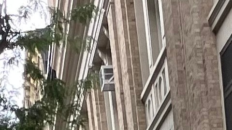 El uso de celulares en las escuelas se ha venido limitando en todo EE.UU.