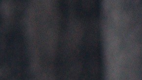 Unos 25 millones de personas en los Estados Unidos tienen dominio limitado del inglés.