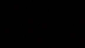 Eclipse solar