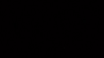 Eclipse solar