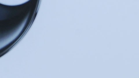 Ellen DeGeneres y Portia di Rossi compraron esta casa hace cuatro años.