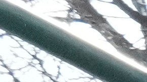 Carteles en inglés y español identifican negocios en Brooklyn, Nueva York.