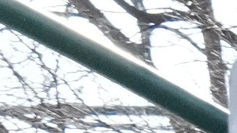 Carteles en inglés y español identifican negocios en Brooklyn, Nueva York.