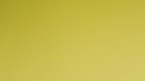 Licencia de conducir