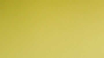 Licencia de conducir