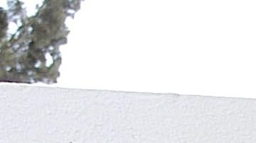 Fernando del Solar murió el 30 de junio de 2022.