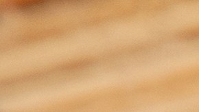 Los fideos fueron distribuidos por una empresa de Nueva York.