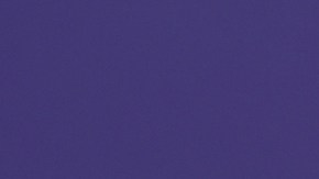 Francisca junto a su esposo Francesco.