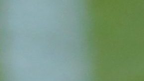 Gerard Piqué compraría un apartamento en el edificio Panorama de Brickell.