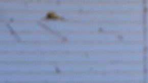 Severas tormentas y tornados azotaron varios estados del país.