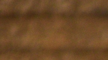 El color de la cáscara de los huevos tiene que ver con la raza de la gallina.