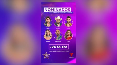 Los nominados se enfrentan a una de las mejores placas de la temporada.