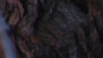 Solamente en 2024 en la Gran Manzana robaron $40 millones a través de la clonación de estas tarjetas.