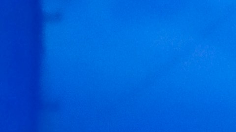 TAS le da el triunfo a Rafael Baca en su disputa legal contra Cruz Azul.