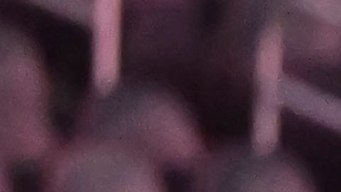 Se revela el costo de la playera de la selección de México.