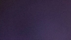 Pumas exige a la Comisión de Árbitros revisar el partido ante los Rayados.