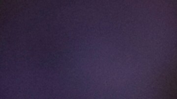 Pumas exige a la Comisión de Árbitros revisar el partido ante los Rayados.