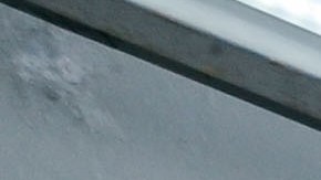 Ramón Juárez apuesta por convertirse en toda una leyenda del Club América.