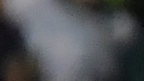 Club León implementa drástico cambio de seguridad con Nicolás Fonseca tras su secuestro