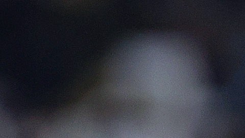 Uros Durdevic se muestra confiado para vencer al Club América.